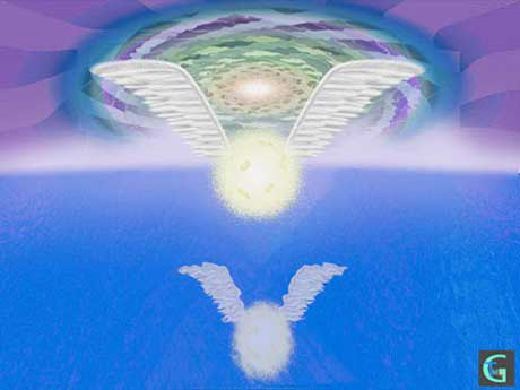 ���̑��̂b�f