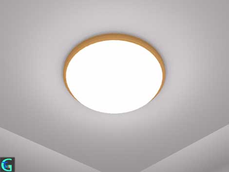 �Ɩ����̂R�c���f�����O�f�[�^