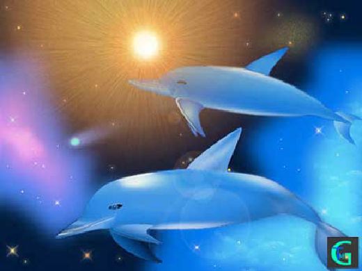 �C���J�Ȃǂ̂b�f