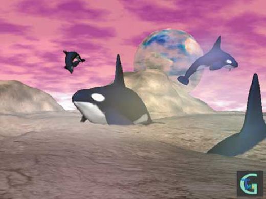 �C���J�Ȃǂ̂b�f