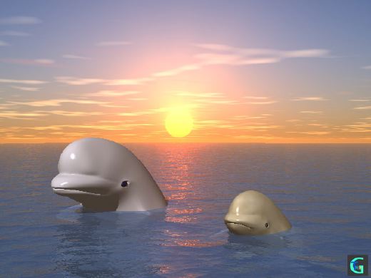 �C���J�Ȃǂ̂b�f