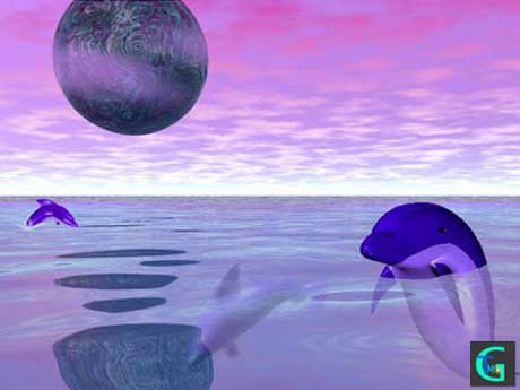 �C���J�Ȃǂ̂b�f