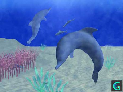 �C���J�Ȃǂ̂b�f