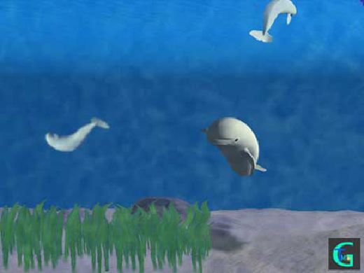 �C���J�Ȃǂ̂b�f