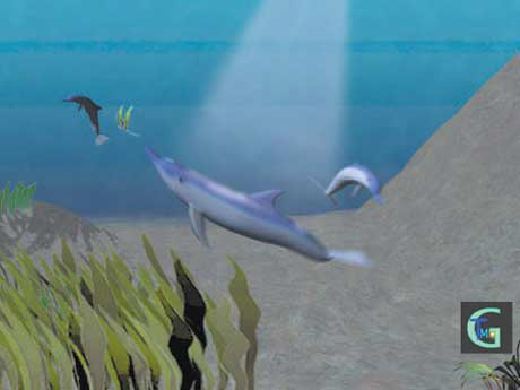 �C���J�Ȃǂ̂b�f